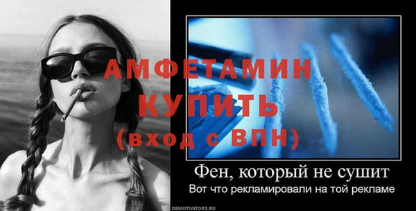 твердый Инта