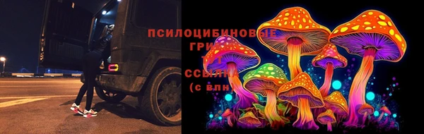 скорость Инсар