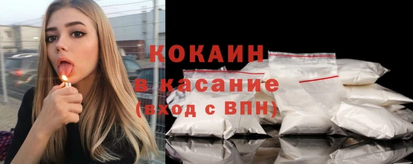 твердый Инта