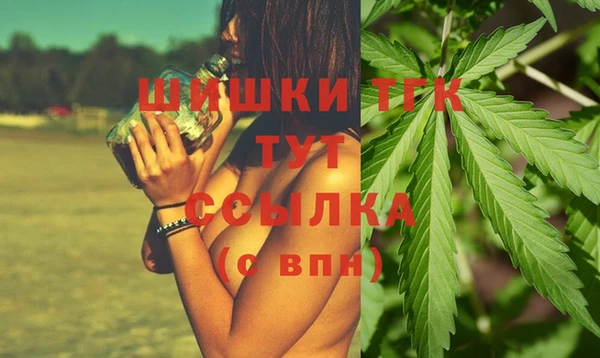 твердый Инта