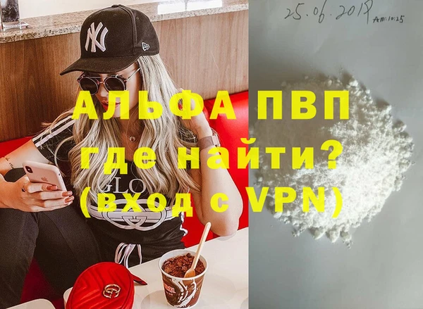 твердый Инта